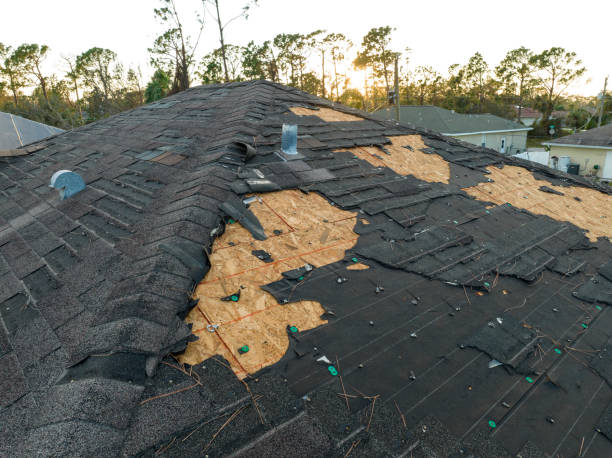 Best 4 Ply Roofing  in Kidron, OH