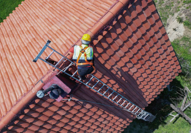 Best Roof Moss and Algae Removal  in Kidron, OH